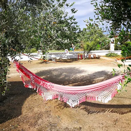 Stella Del Sud
