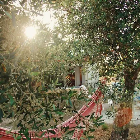 Stella Del Sud Bed & Breakfast *